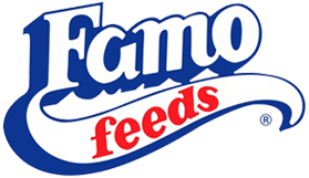Famo Logo
