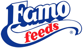 FAMO Feeds
